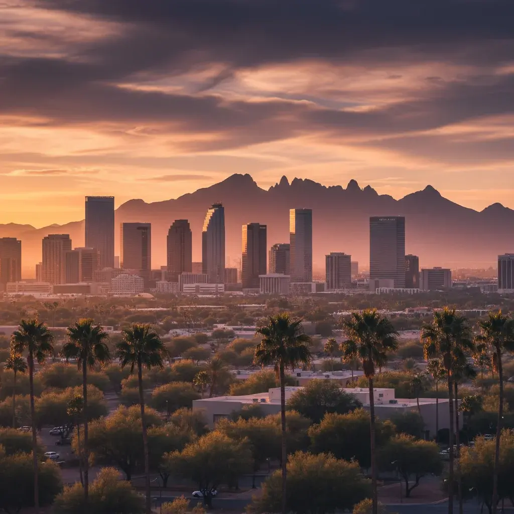 Black Swan executive chauffeur service in Phoenix